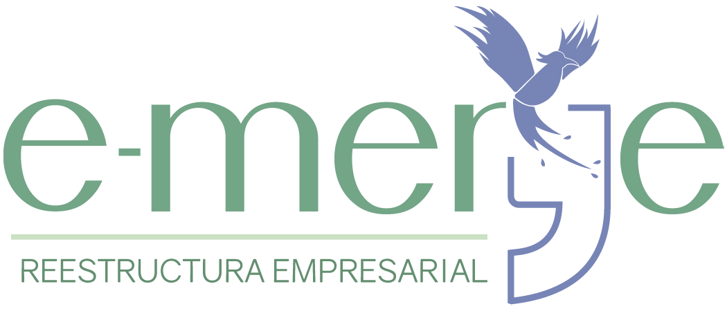 logo e-merge